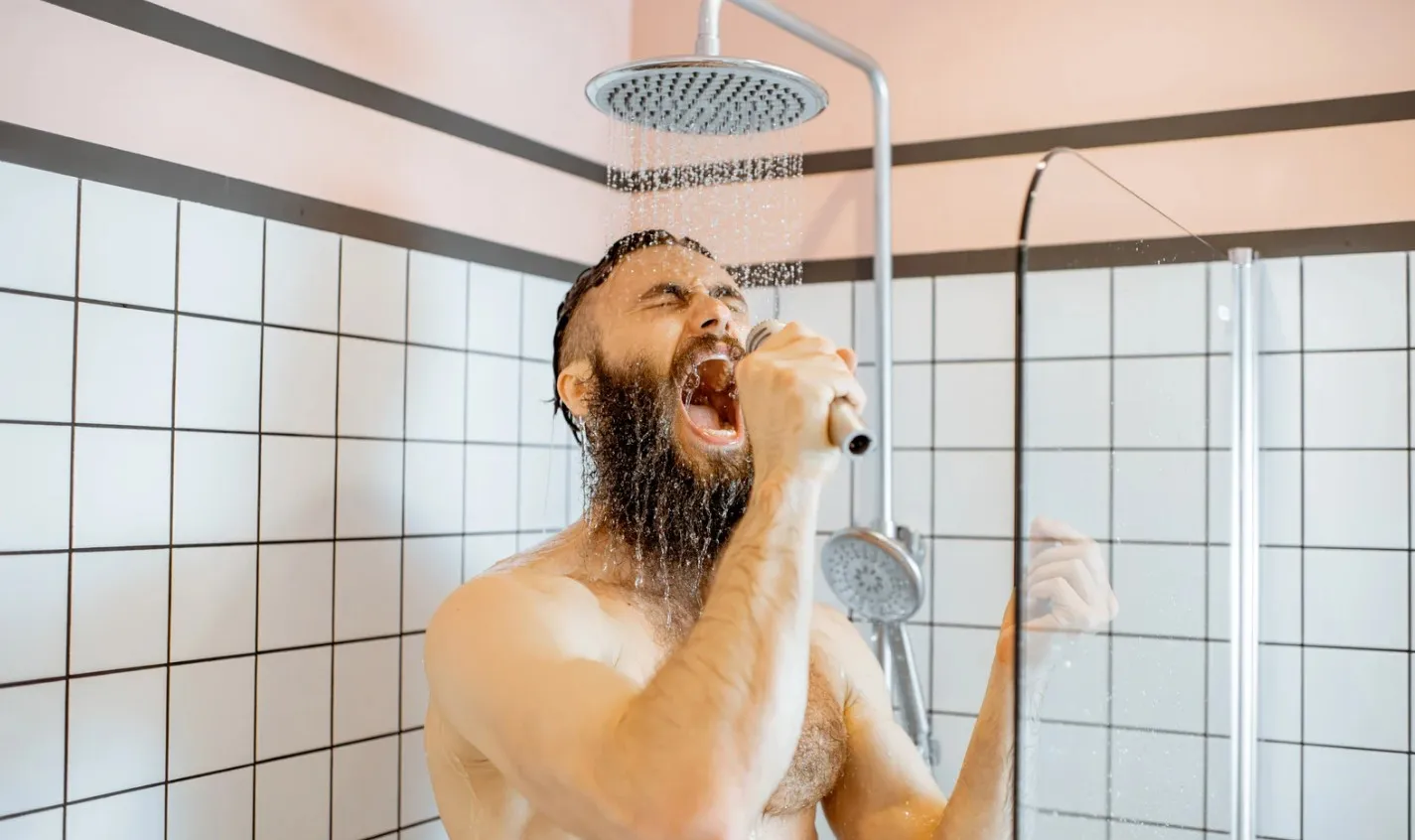 Pourquoi ma Chaudière produit du Chauffage, Mais Pas d'Eau Chaude — free download