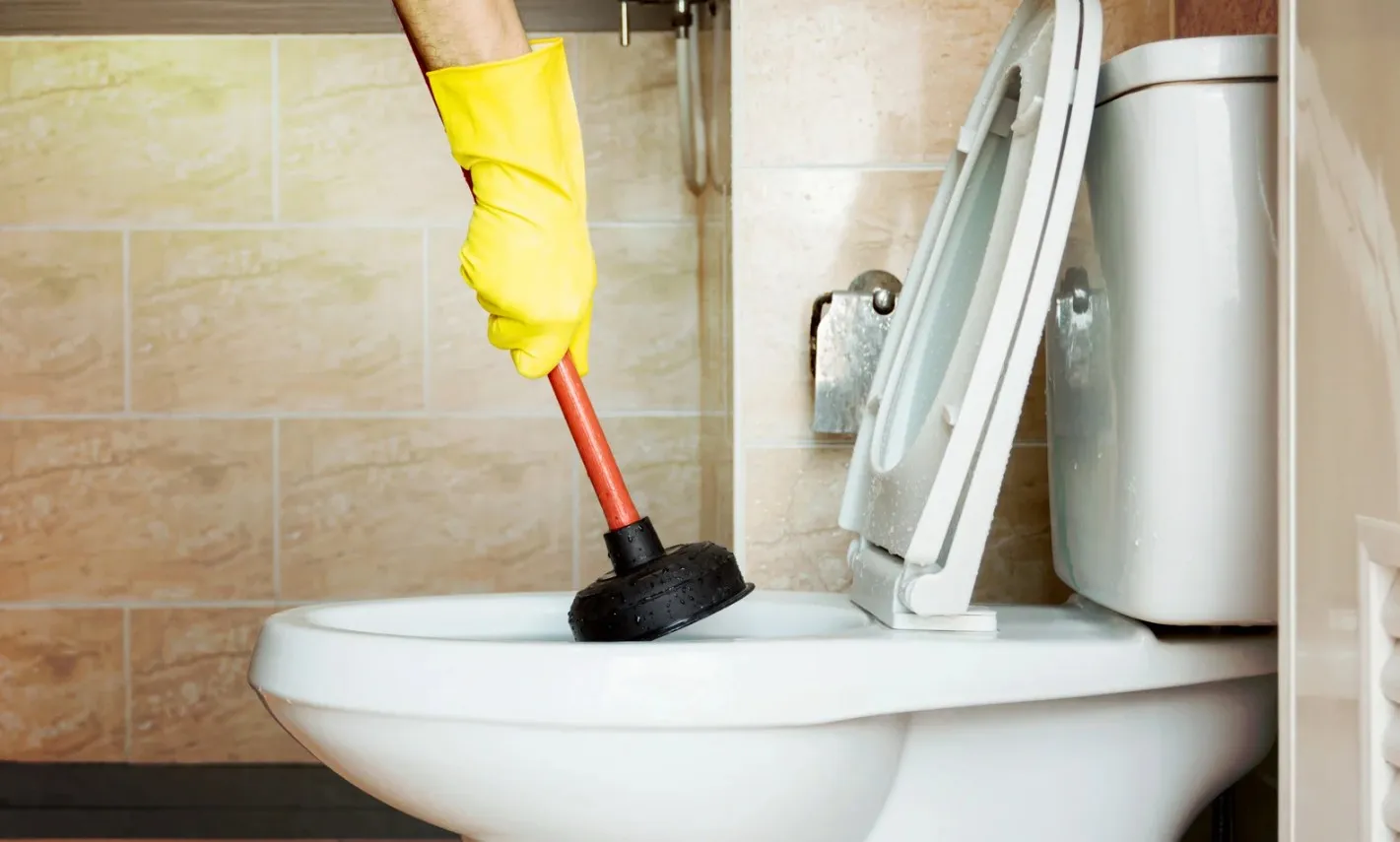 wc bouché