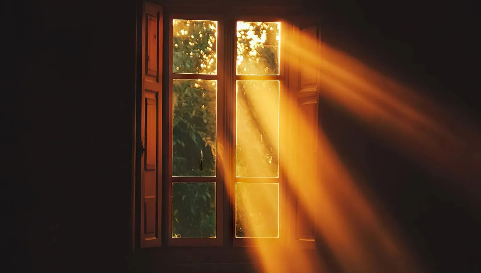 Protéger les vitres du soleil
