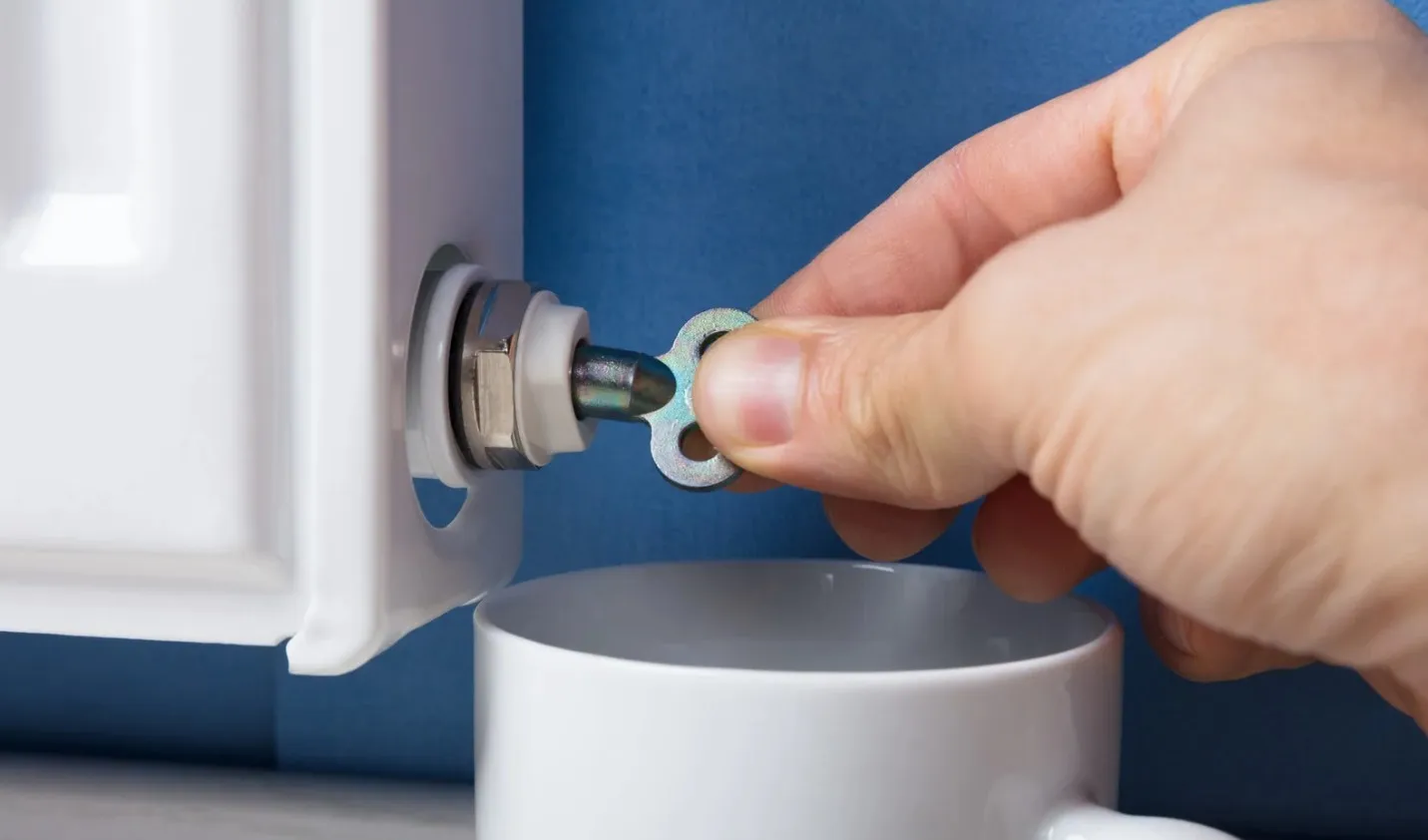 purger radiateur